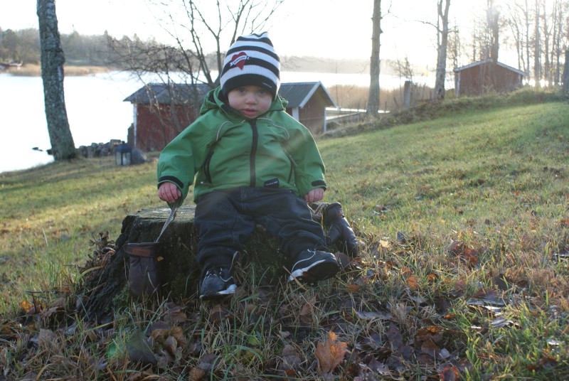 Höst 2009 006.JPG