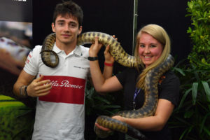 Charles Leclerc (MON) Alfa Romeo Sauber F1 Team with a GIant Python at Formula One World Championship, Rd1, Australian Grand Prix, Preparations, Melbourne, Australia, Thursday 22 March 2018.