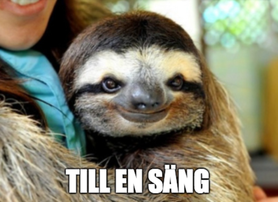 Hur man får en flickvän som en tonåring