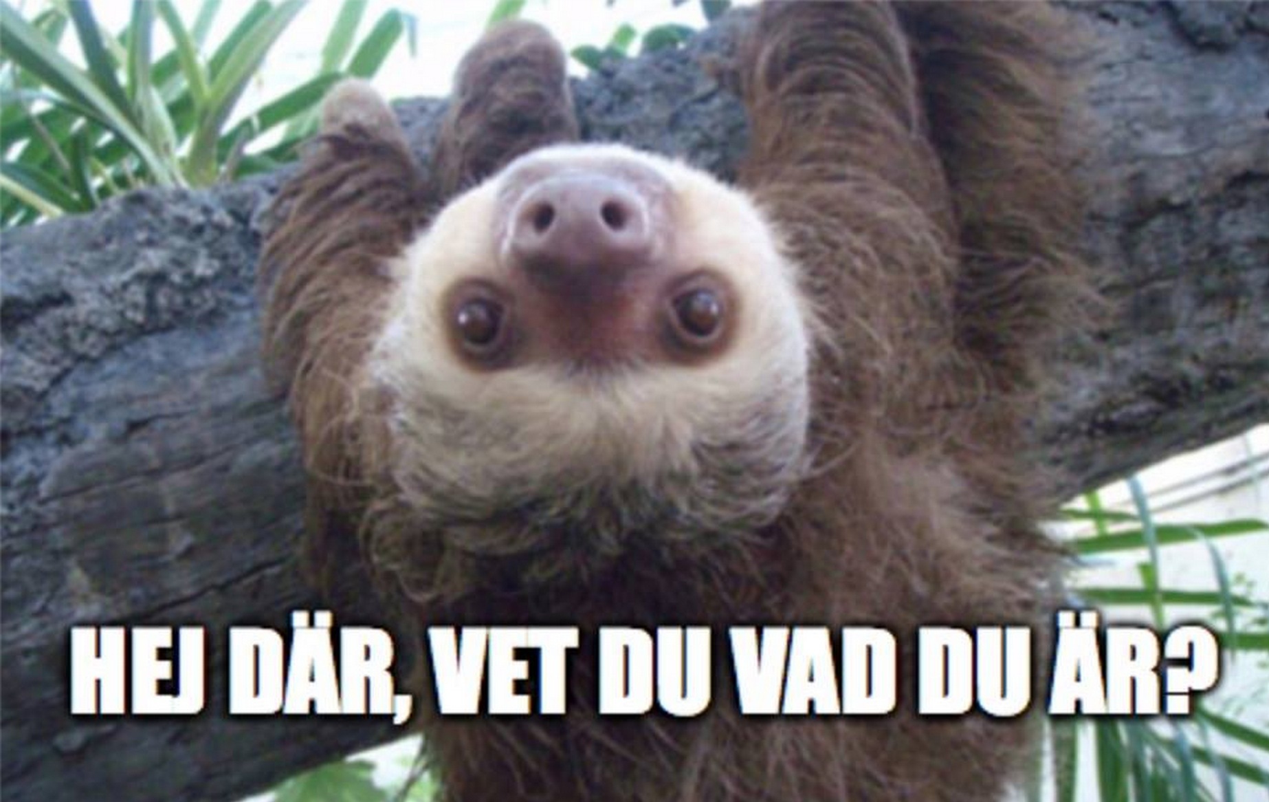 Hur man får en flickvän som en tonåring