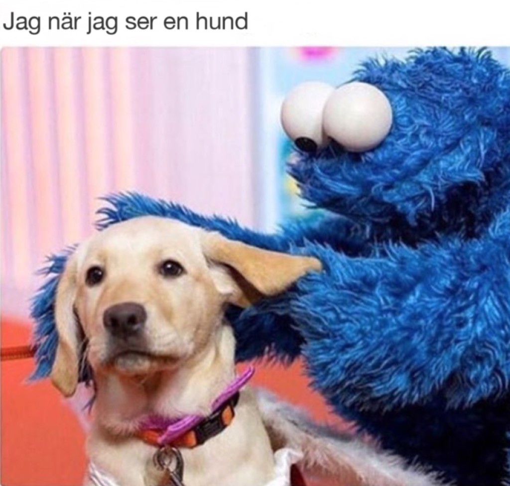 Dating hemsida frågesport svartsjuk är du