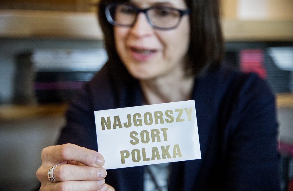 foto : all : sverigedemokraternas fnster. polen och ungern.