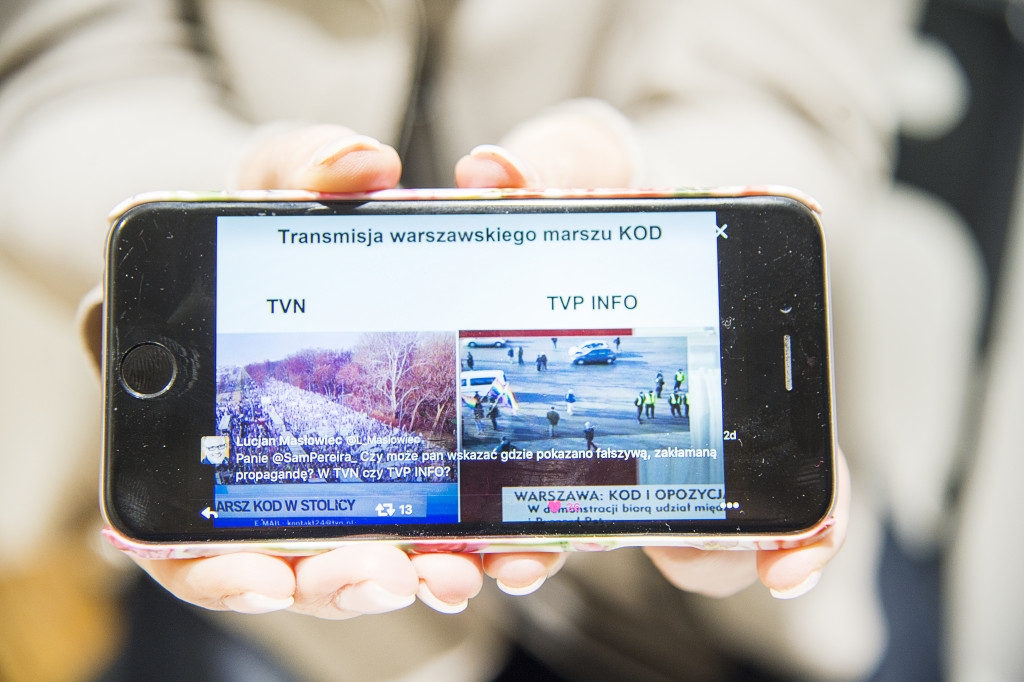 foto : all : sverigedemokraternas fnster. polen och ungern.