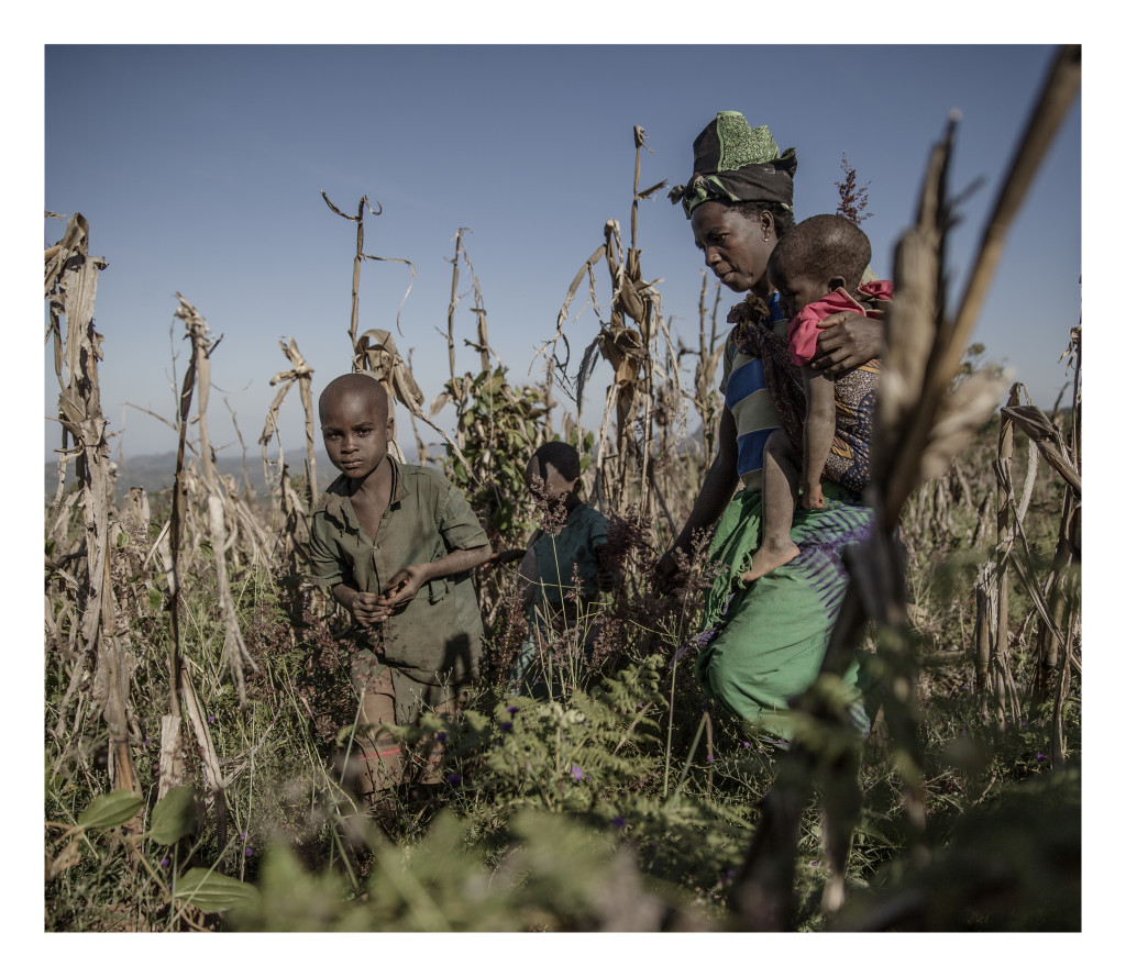 Malawi är ett av värdens fattigaste länder och extremt utsatt för klimatförändringar med torka och översvämningar. Samtidigt flyr människor in till landet från konflikter i grannländerna, framför allt från Mocambique. Situationen är också extrem för de många albinos som finns i landet de hotas av att bli mördade då deras ben och hud tros ha helande berikande krafter.