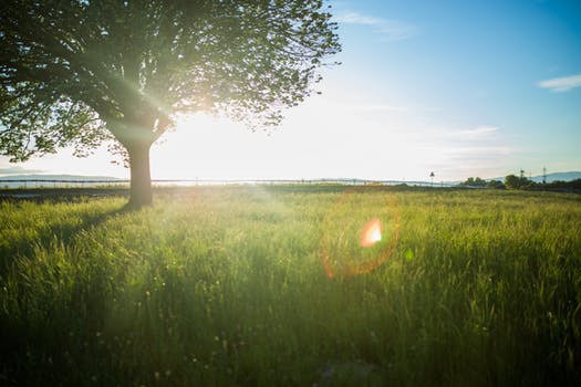 Det går att skåda en tydlig och rak linje mellan den värmande vårsolen och alla svettiga träningspass som avverkas inför årets strandpremiär. Men visste du att din rumpa också utgör några av kroppens viktigaste muskulära funktioner?