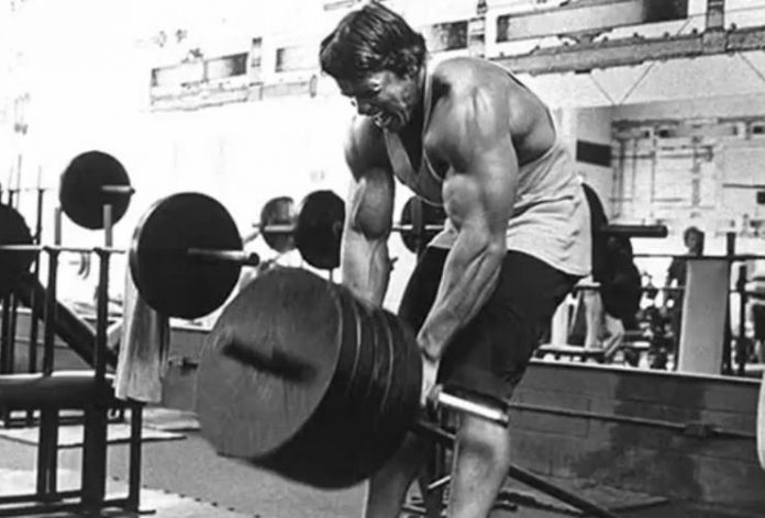 arnold5