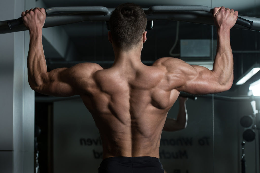 Chins - överkroppsträningens okrönte konung. Bild lånad av: muscleprodigy.com.