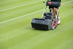 Stuttgart Open tar hjälp av Wimbledon-experter i omställningsarbetet.
