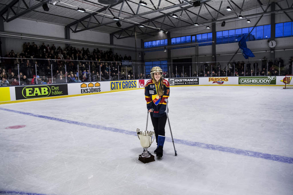 sdhl, sm-final 2. djurgrdens if - hv71, 4 - 3, match action glad jublar