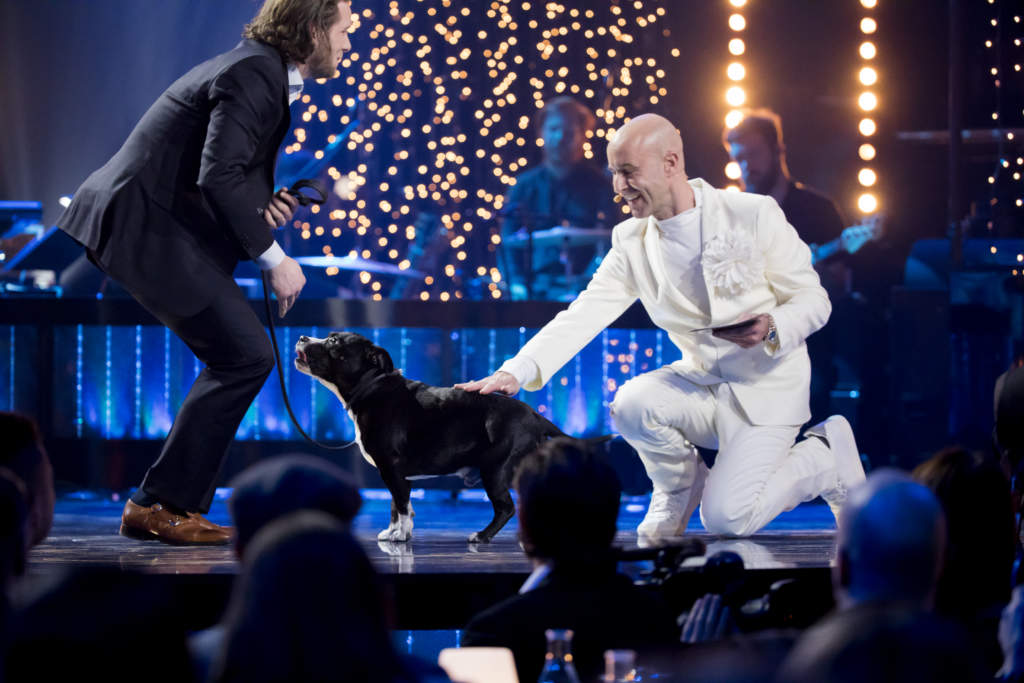 foto : magsan : svenskahjltar-galan 2017
2017-12-04
p bilden:
foto:magnus sandberg