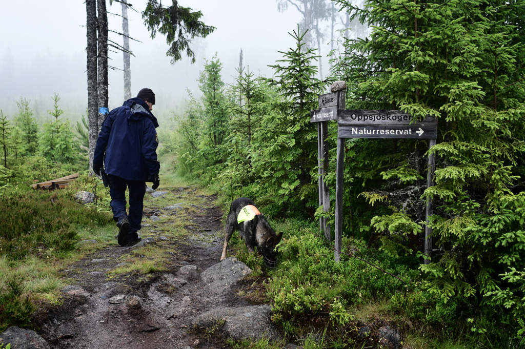 frsvunnen 6-rig flicka hittad. i ver 13 timmar var den sexriga flickan frsvunnen i blackss naturreservat utanfr hudiksvall. efter ett massivt skpdrag hittades hon vlbehllen. skhund, polishund,